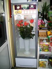 Продам холодильник(витрина) Бирюса 310ЕР