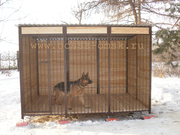 Вольеры для собак в Омске тел.8-950-783-7251