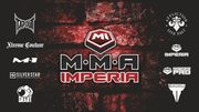 Франшиза MMA Imperia  готовый бизнес                                  