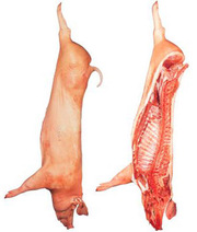 мясо свинина